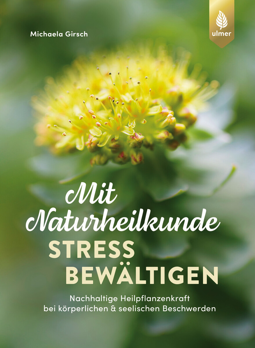 Buchcover: Stress bewältigen
